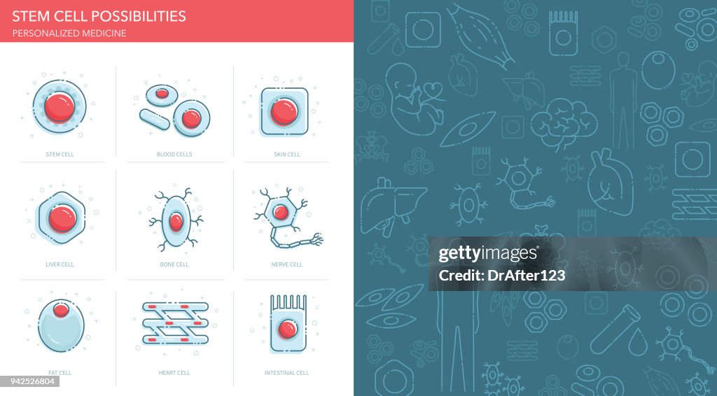 Stem Cell Possibilities Icons Set