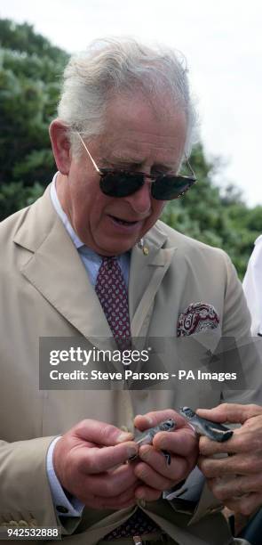 The Prince of Wales holds a Green Sea turtle during a visit to Lady Elliot's Island in Australia.