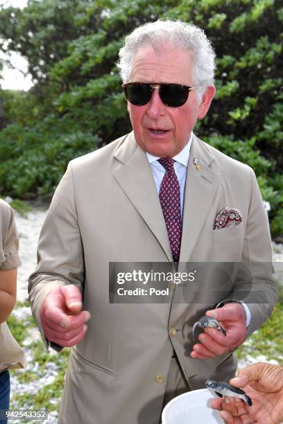 Prince Charles, Prince of Wales, holding a green baby turtle, attends a roundtable meeting, discussing coral resilience on Lady Elliot Island on...