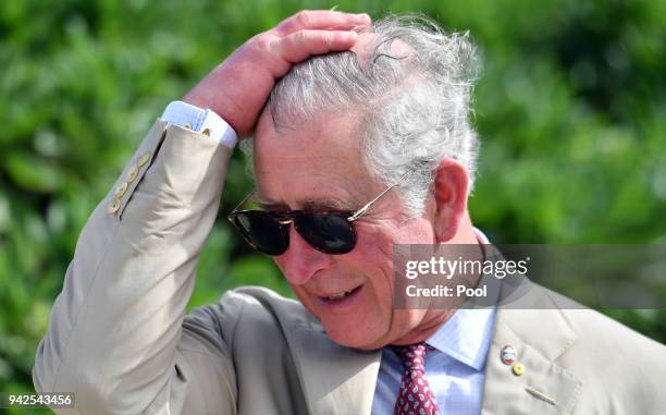 Prince Charles, Prince of Wales attends a roundtable meeting, discussing coral resilience on Lady Elliot Island on April 6, 2018 in Queensland,...