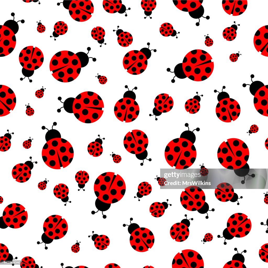 Ladybug Repeat Pattern Ladybug Seamless Pattern Vector High-Res Vector Graphic - Getty Images