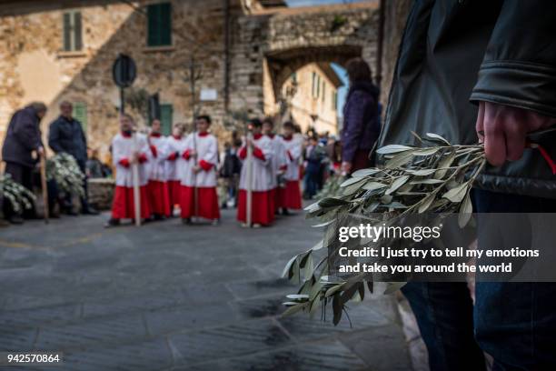 campiglia marittima, province of livorno, tuscany, italy - grosseto province bildbanksfoton och bilder