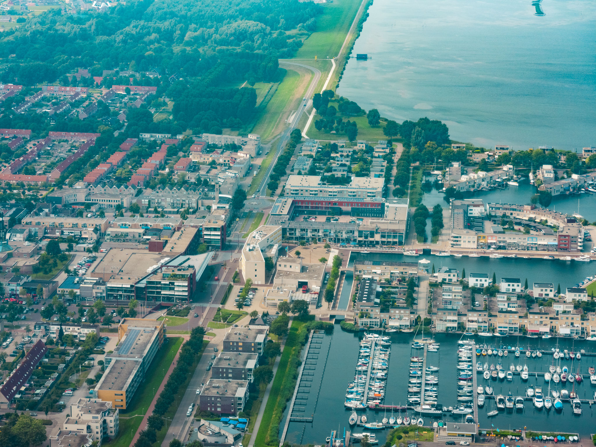 aalsmeer startups