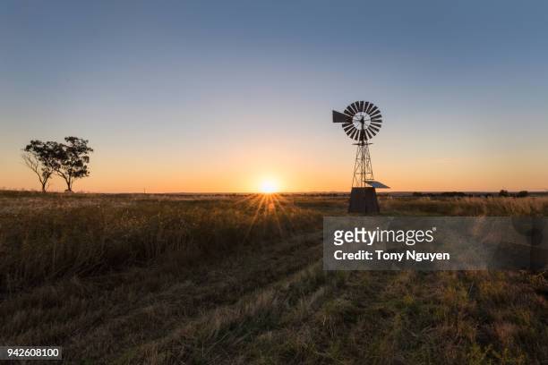 sunset falling behind a windmill. - australian outback landscape stockfoto's en -beelden