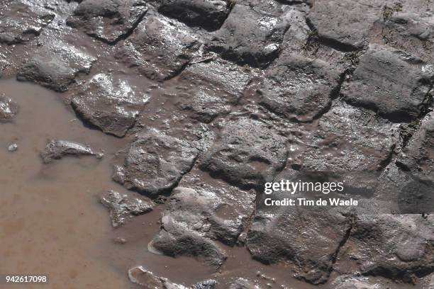 Illustration / Cobbles / Pave / Mud / during training of 116th Paris to Roubaix 2018 on April 6, 2018 in Arenberg, France.