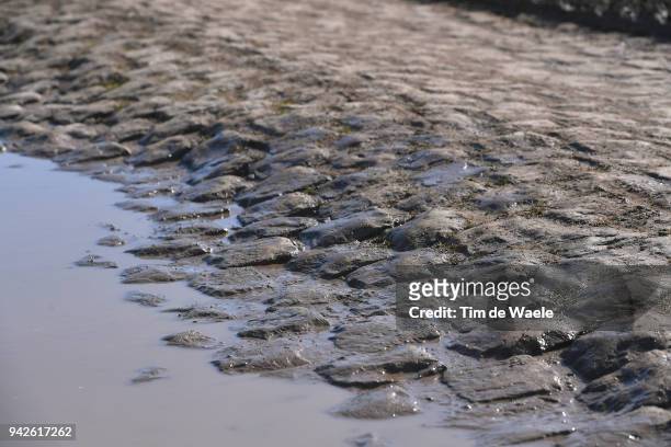Illustration / Cobbles / Pave / during training of 116th Paris to Roubaix 2018 on April 6, 2018 in Arenberg, France.