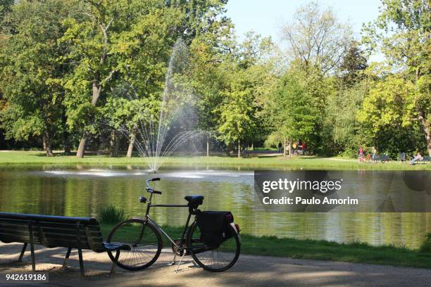 people enjoying at vondelpark in amsterdam - vondelpark stockfoto's en -beelden