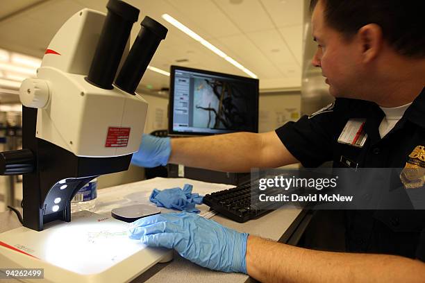 Customs and Border Protection agricultural specialist David Fine looks at a confiscated plant with a microscope in the secondary agriculture...