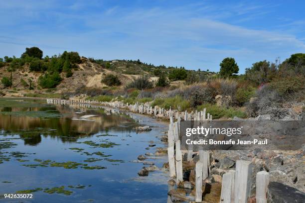 alignment of old wooden pickets to peyriac-de-mer - picchetto da tenda foto e immagini stock