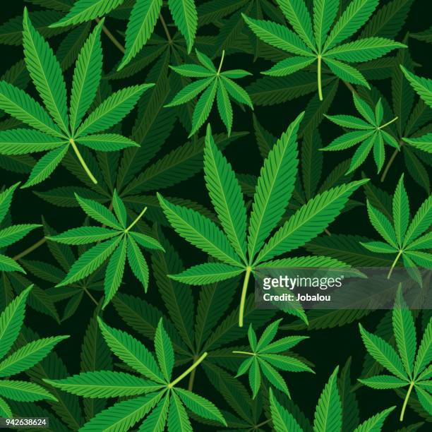 nahtlose hintergrund cannabisblatt - hanfpflanze stock-grafiken, -clipart, -cartoons und -symbole