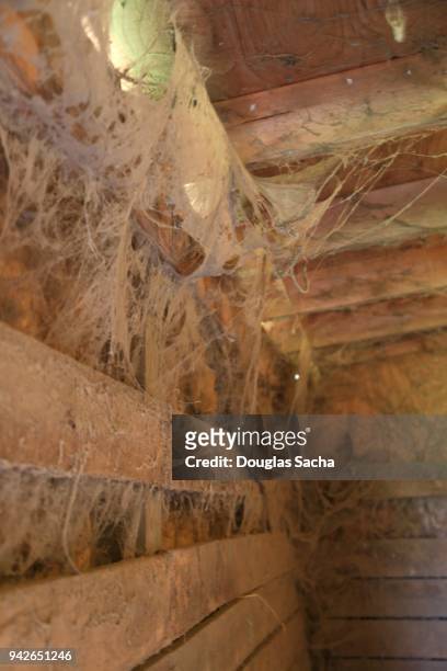 abandoned barn with dust covered cobwebs - tool shed wall spaces stockfoto's en -beelden