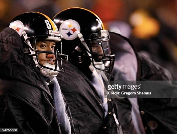 Hines Ward of the Pittsburgh Steelers looks on from the sidelines against the Cleveland Browns at Cleveland Browns Stadium on December 10, 2009 in...