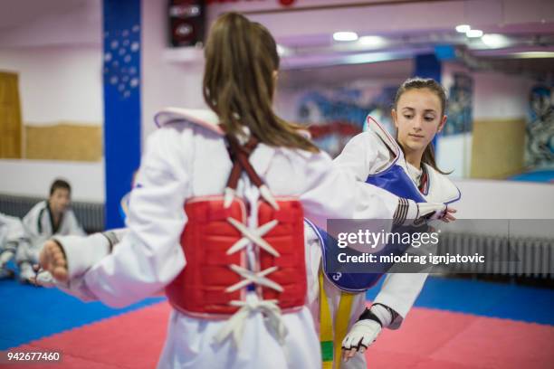 martial arts - taekwando stockfoto's en -beelden