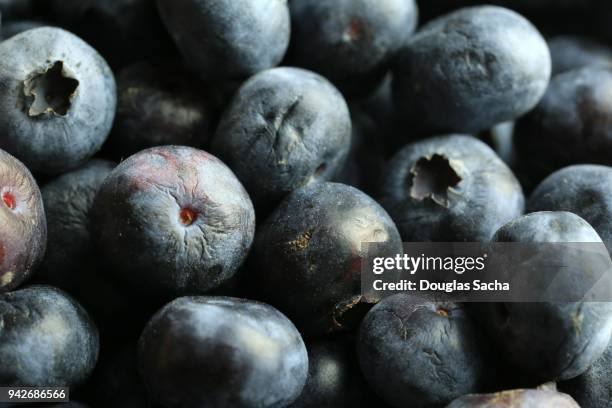 full frame of spoiled and rotting blueberries - fruit decay stockfoto's en -beelden