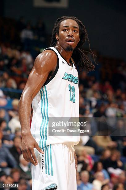 Raymond Sykes of the Sioux Falls Skyforce looks on during the game against the Maine Red Claws at Sioux Falls Arena on November 27, 2009 in Sioux...