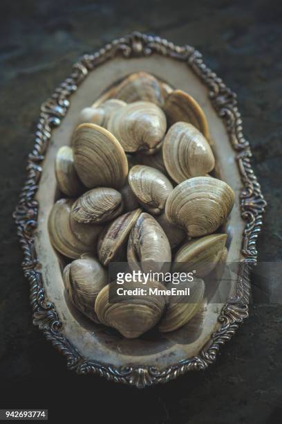 clams - clam animal stock pictures, royalty-free photos & images