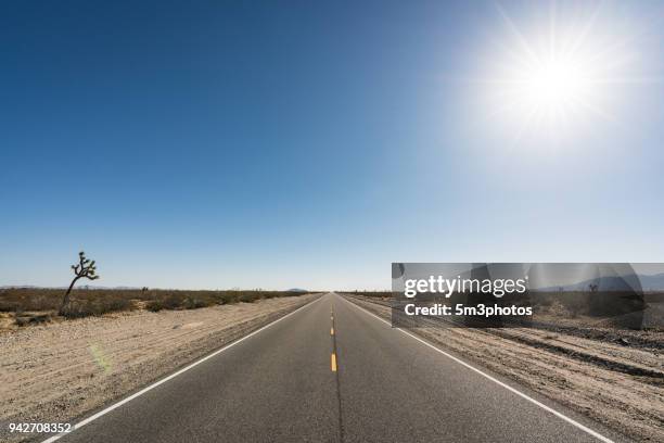 high desert highway road vanishing point - driving sun stockfoto's en -beelden