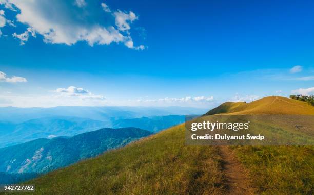 mountain trail through grassy brush on background blue sky in summer. - mountain peak above clouds stock pictures, royalty-free photos & images