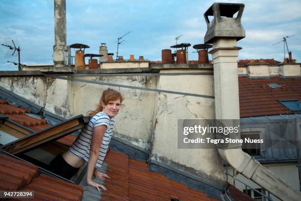 paris rooftop - tegra stone nuess stock pictures, royalty-free photos & images