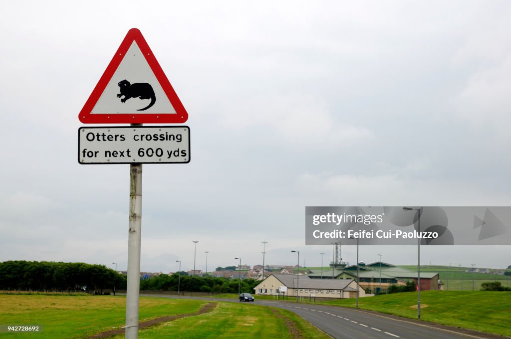 Otters crossing sign at Kirkwall, Orkney, Scotland
