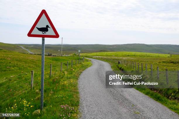 duck crossing sign at westing, unst island, shetland - animal crossing sign fotografías e imágenes de stock