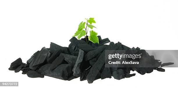 emerging from it's own ashes - coal ash stock pictures, royalty-free photos & images