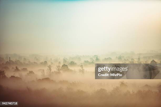 sunrise nebel copenhagen - dänemark landschaft stock-fotos und bilder