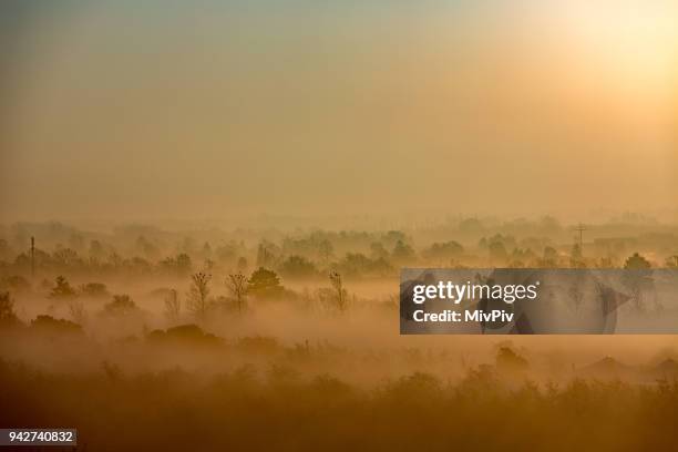 sunrise fog copenhagen - amager stock pictures, royalty-free photos & images