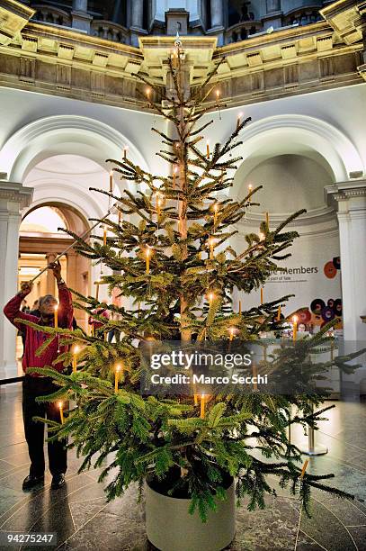 Gallery assistant lights the candles on the 2009 Tate Britain Christmas Tree which was designed by artist Tacita Dean and is entitled...