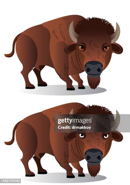 ilustraciones, imágenes clip art, dibujos animados e iconos de stock de bisonte americano - lago-yellowstone