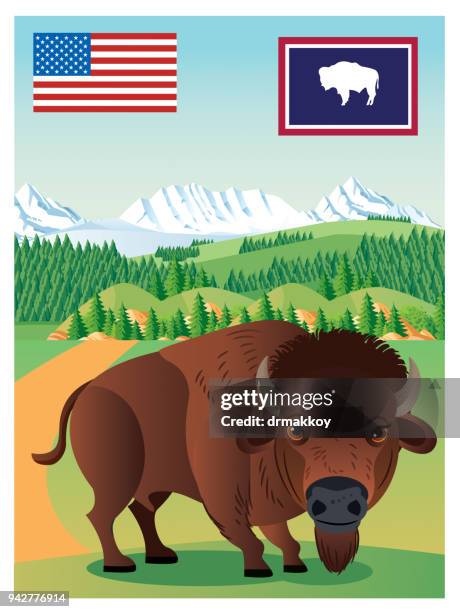illustrations, cliparts, dessins animés et icônes de bison nord-américain - lac yellowstone