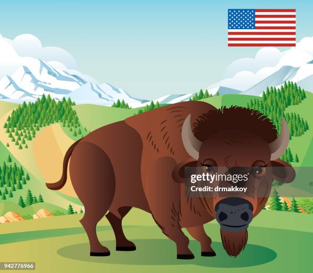 illustrations, cliparts, dessins animés et icônes de bison d’amérique et yellowstone park - lac yellowstone