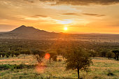 Sunrise in Serengeti national park, landscape with sunlight effect, Africa.