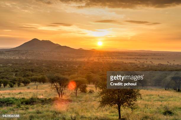 日出在塞倫蓋蒂國家公園, 風景與陽光作用, 非洲。 - 坦桑尼亞 個照片及圖片檔
