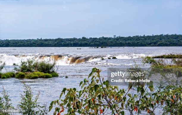 the  iguazu river and upside of devil's throat falls - argentina devils throat stockfoto's en -beelden