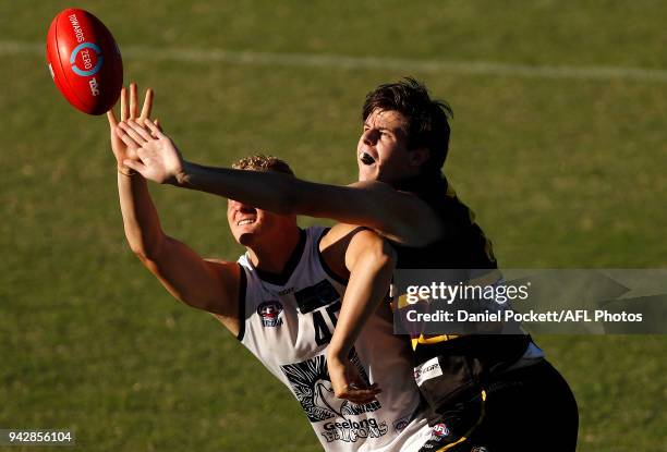 Benjamin Kelly of the Bushrangers and Thomas Richardson of the Falcons contest the ball during the round three TAC Cup match between Murray...