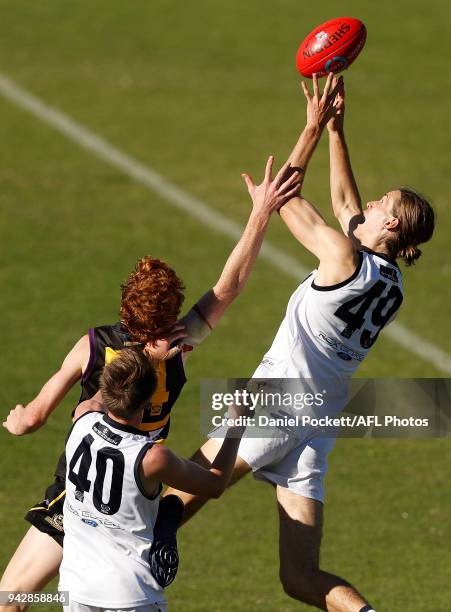 Dane Hollenkamp of the Falcons marks the ball during the round three TAC Cup match between Murray Bushrangers and Geelong Falcons at Queen Elizabeth...