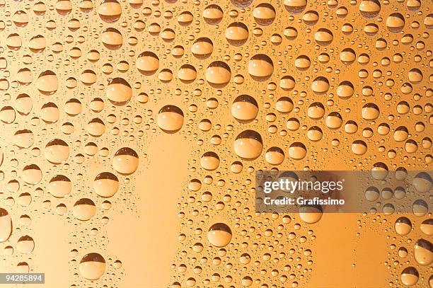 beer with transpiration 4 - transpiration stock pictures, royalty-free photos & images