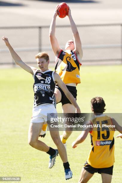 Bailey Schmidt of the Stingrays marks the ball during the round three TAC Cup match between Dandenong Stingrays and Greater Western Victoria Rebels...