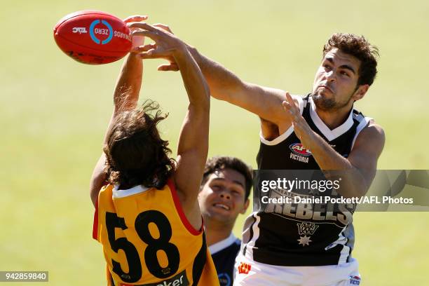 Josh Chatfield of the Rebels and William Hamill of the Stingrays contest the ball during the round three TAC Cup match between Dandenong Stingrays...