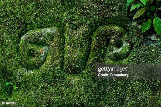 Symbol of the Huaorani tribe, also known as the Waos, who are native Amerindians from the Amazonian Region of Ecuador, sits on the face of a rock in...