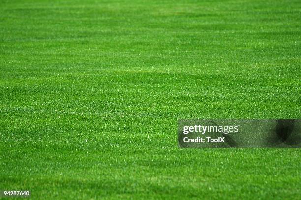 green grass - golf turf stock pictures, royalty-free photos & images