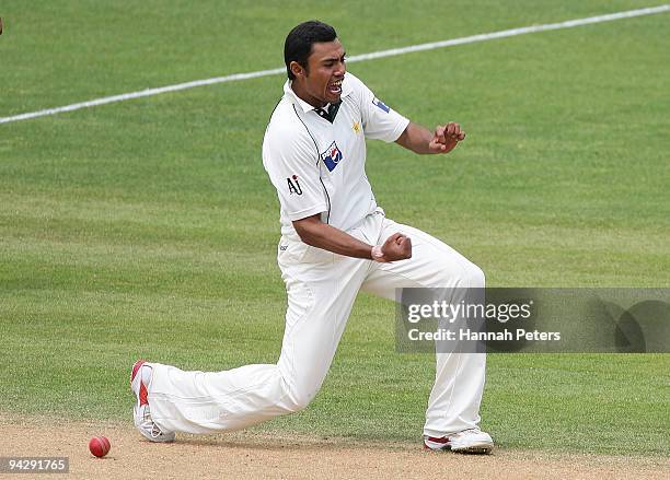 Danish Kaneria of Pakistan celebrates the wicket of Martin Guptill of New Zealand during day two of the Third Test match between New Zealand and...