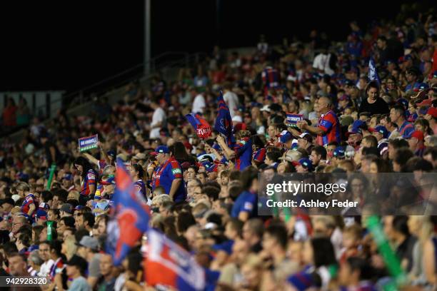 Knights fans celebrate during the round five NRL match between the Newcastle Knights and the Brisbane Broncos at McDonald Jones Stadium on April 7,...