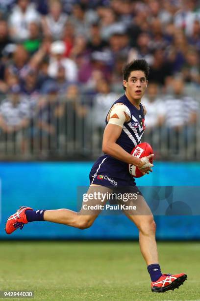 Adam Cerra of the Dockers looks to pass the ball during the round three AFL match between the Gold Coast Suns and the Fremantle Dockers at Optus...