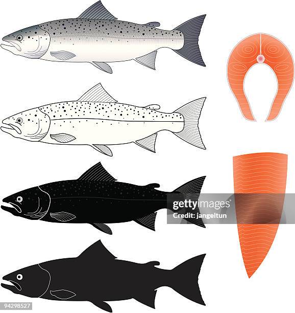 stockillustraties, clipart, cartoons en iconen met salmon - fillet