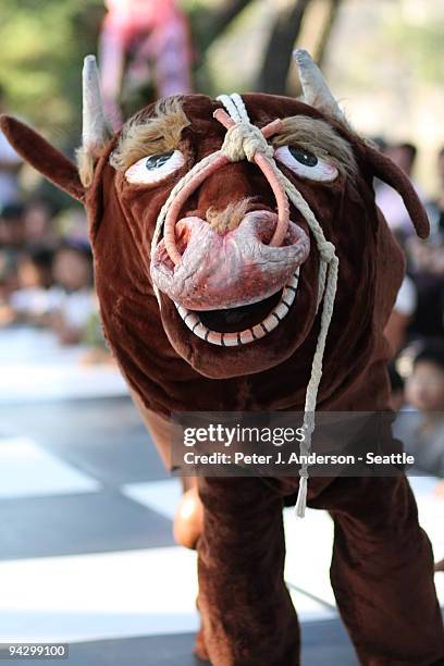 staggering bull at the andong mask festival - tori anderson foto e immagini stock
