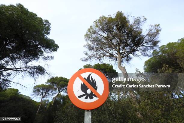 precaution symbol in the forest in catalonia - mr burns stock pictures, royalty-free photos & images