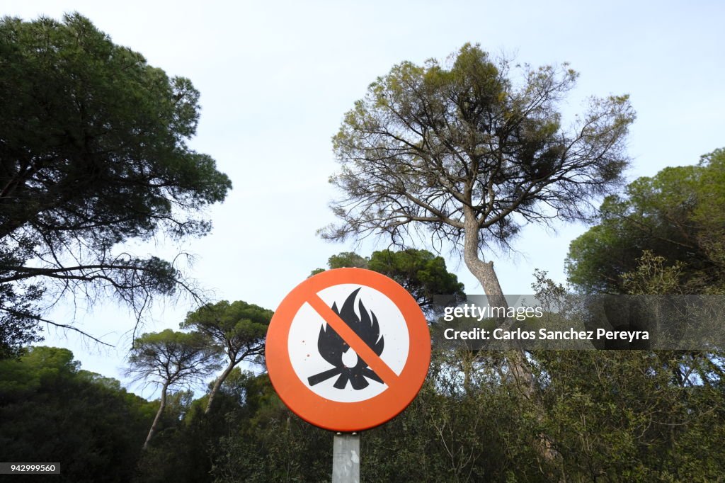 Precaution symbol in the forest in Catalonia