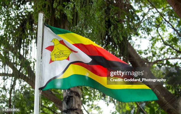 zimbabwe: flag - flag of zimbabwe stock pictures, royalty-free photos & images